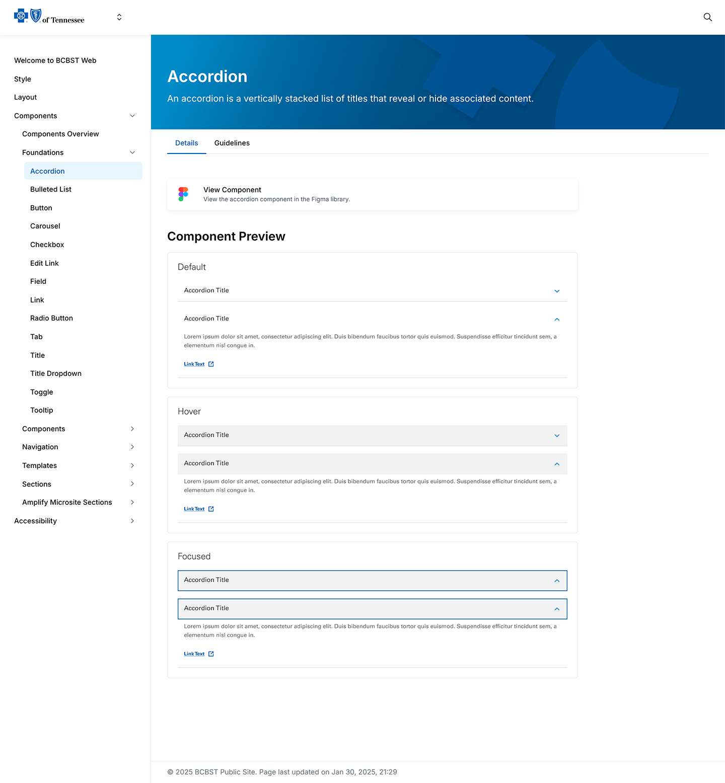 Screenshot of design system documentation within Supernova.